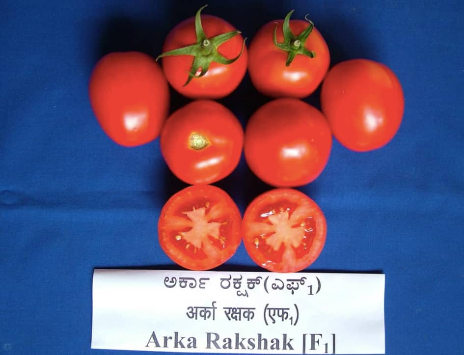 arka rakshak cultivation process